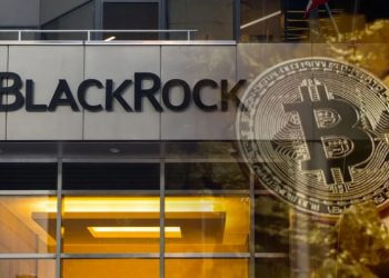 BlackRock CEO reports low long-term investor demand for cryptocurrencies