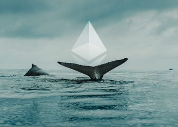 ETH whales continue to harvest, the top 10 ETH wallets hold over 20% of the total supply