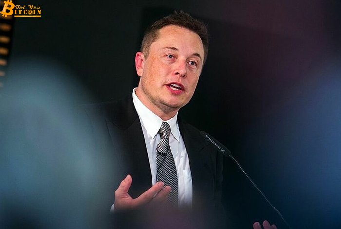 Investors want Elon Musk to stop 'driving' cryptocurrencies