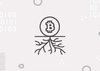 Learn the term Taproot in Crypto