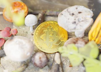 Market feelings "revived" right after two "bloody" months, withdrawn from the exchange one hundred,000 Bitcoins in just three days 7 Market emotions "rebirth" After 2 months "bloody", 100,000 BTC was withdrawn from the exchange in just 3 days