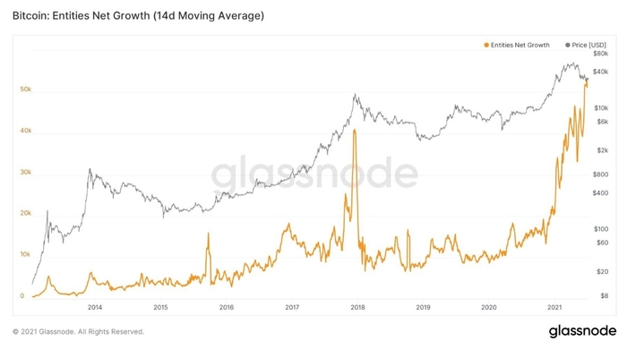 14-day average chart of Bitcoin entities.  Source: William Clemente/ Glassnode