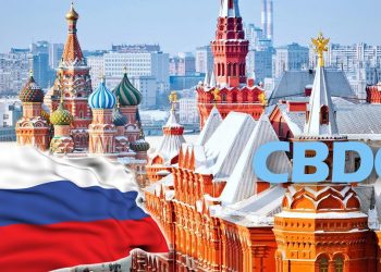 One in ten Russian is willing to receive their salary in digital rubles