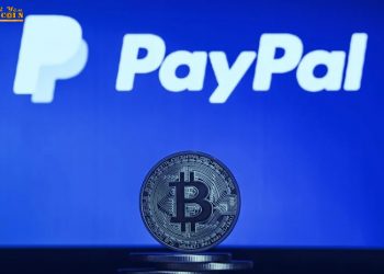 Bitcoin can beat PayPal thanks to... PayPal itself