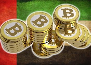 The UAE will test and launch an internal digital currency