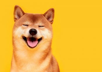 The truth about ShibaSwap "shooting mat" release date