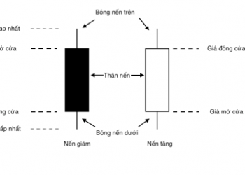 Trading Class 101: Price Action Trading (Part 2) - Understanding Candles and How to Read Candles