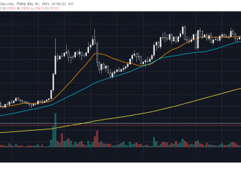 Trading class 101: some introductory terms for traders