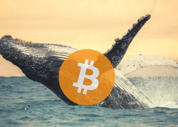 Whale's Bitcoin Fund has continuously increased by more than $ 3 billion since May 2021