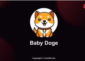 Baby Doge project