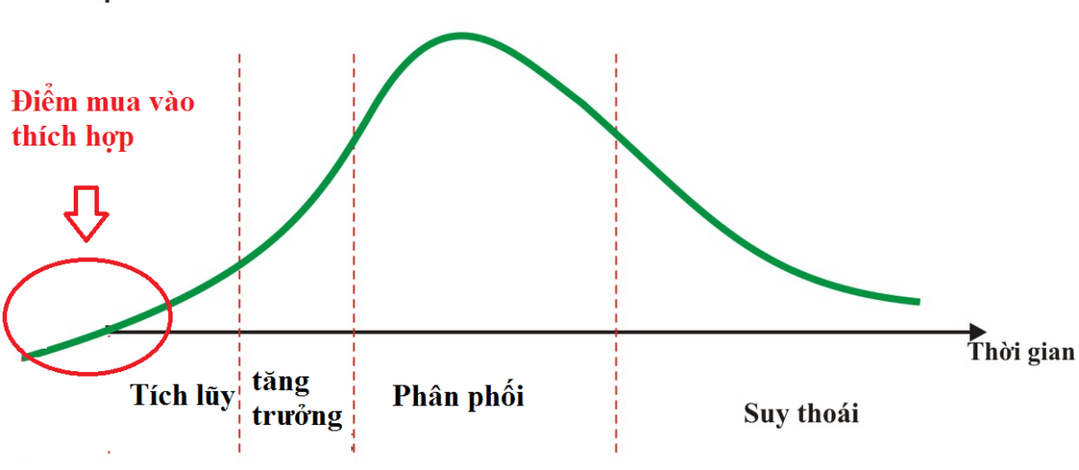 A typical growth cycle