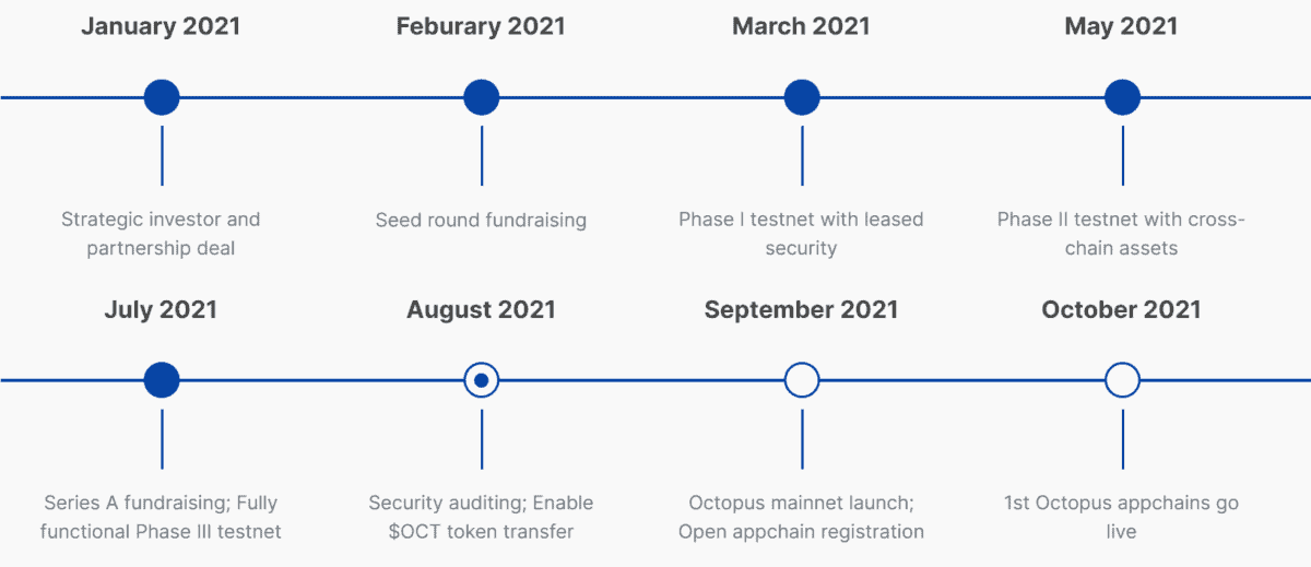 Roadmap of the Octopus project