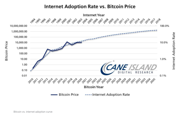 Bitcoin and the Internet adoption model.  Source: Cane Island digital research