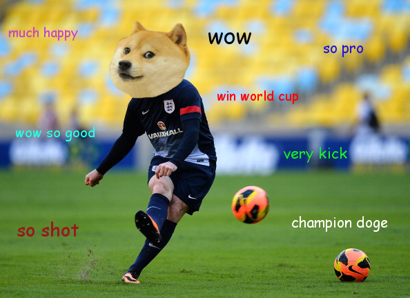 An English Premier League team will have a Dogecoin kit next season