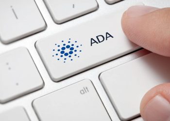 Cardano (ADA) The price rises to a high of 2 months
