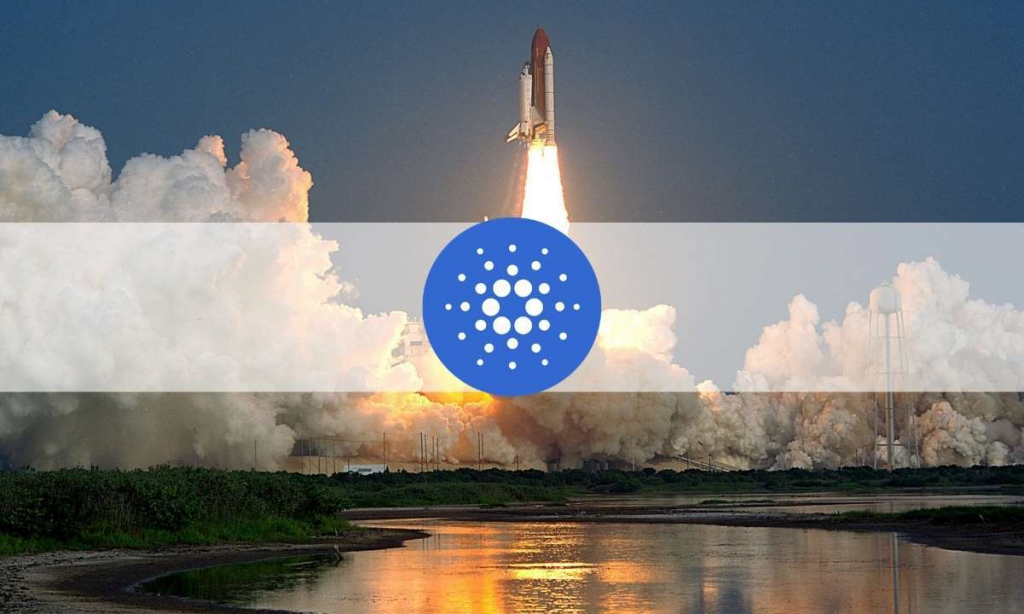 Cardano (ADA) returns to the top 4 coins by market capitalization