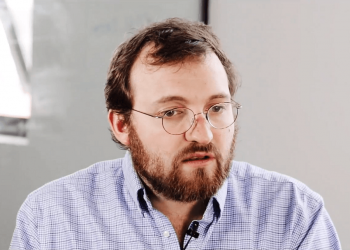 Charles Hoskinson suggests building an ADA burning mechanism