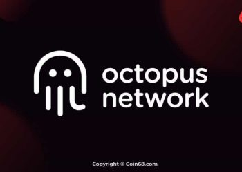 Octopus Network project