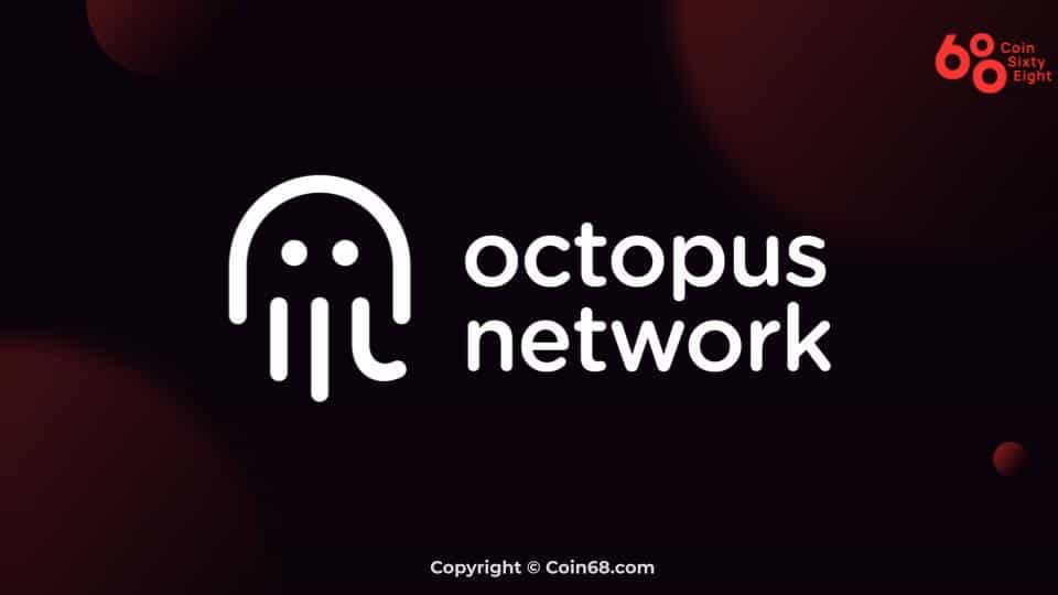 Octopus Network project