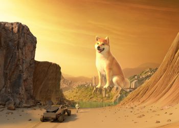 Dogecoin Double Digit Growth for the Week - One address contains up to 28% of DOGE's offering