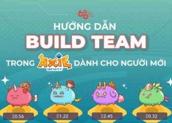 Instructions for building the Axie Infinity team