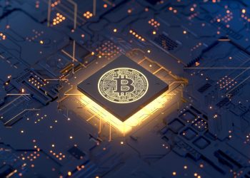 Wealth managers and corporations have amassed 1.2 million Bitcoins with a value of up to US $ 57 billion