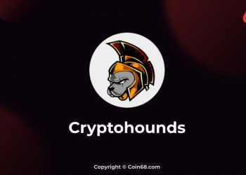 What is Crypto Hounds (TCH) game?  Review and guide to play Crypto Hounds