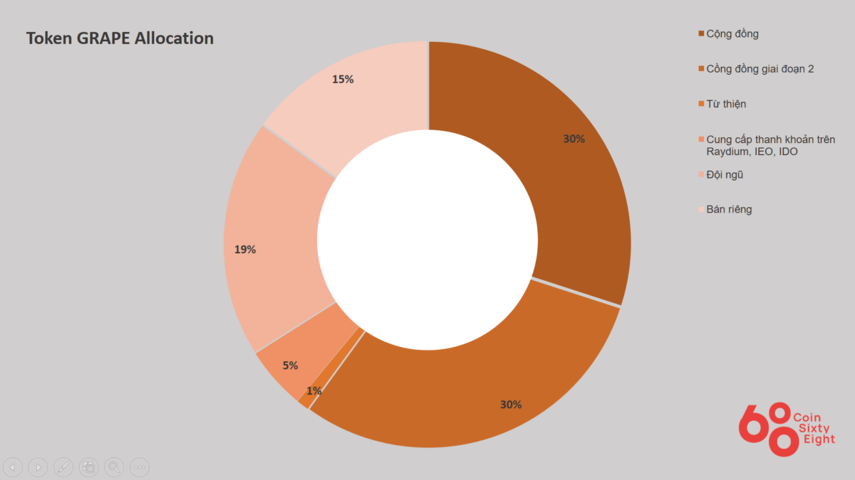 Grape Coins Allocation Table