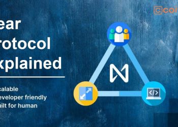 Near Protocol | Explained What is Near Protocol | Video Guide