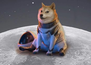 Coinseed is closed for automatic conversion of customer accounts to DOGE