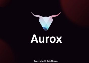 Evaluation of the Aurox project