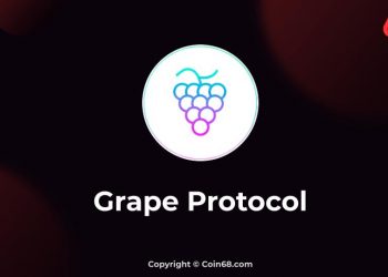 Evaluation of the Grape Protocol venture (GRAPE coin). Latest info and updates on the approaching IDO venture on Raydium 1 Grape Protocol Project