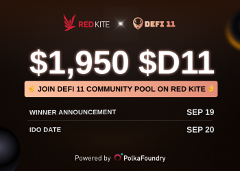 Instructions for joining the Community Pool DeFi11 project (D11)