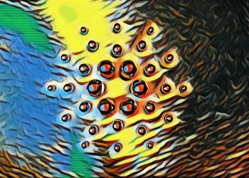 More than 200 smart contracts launched on Cardano (ADA), but not yet available