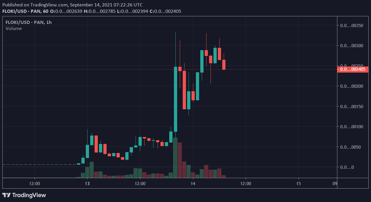 FLOKI / USD price chart.  Source: TradingView