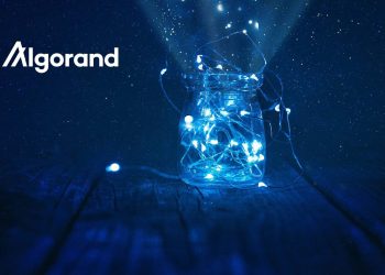 SkyBridge Raises $ 100 Million for Algorand Fund (ALGO) and Moves to ETF Ambitions with SEC