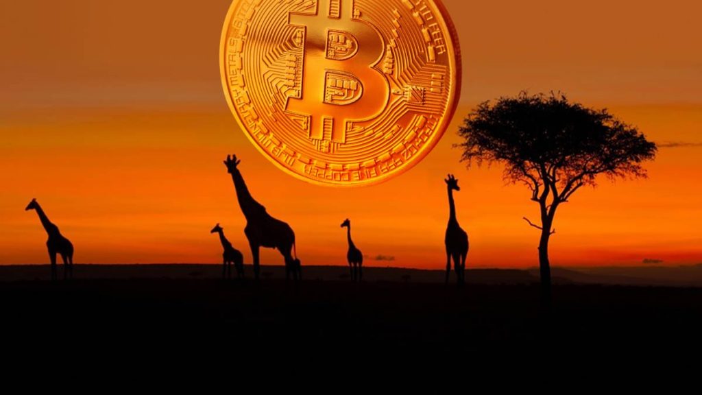 The adoption rate of cryptocurrencies in Africa increased by 1,200% in 2021