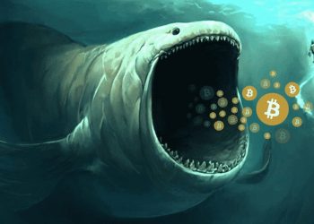 The third largest Bitcoin Whale wallet