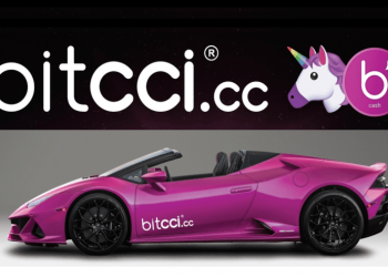 Swiss blockchain organization bitcci symbolizes grownup business