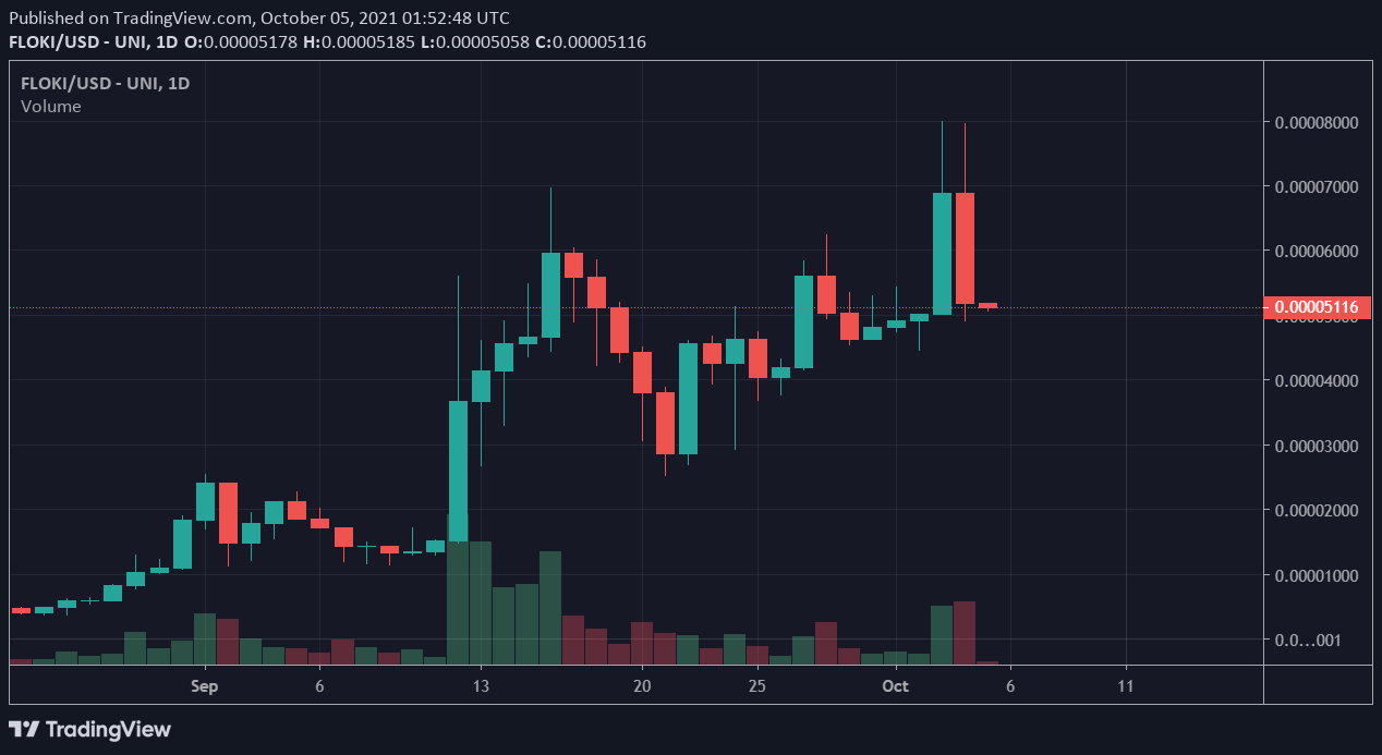 FLOKI / USDT price chart.  Source: TradingView