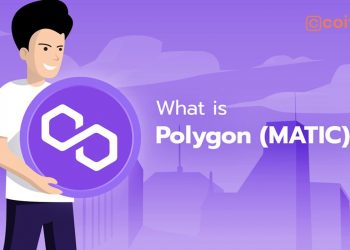 What is Polygon Matic? | Polygon Matic explained | Video Guide