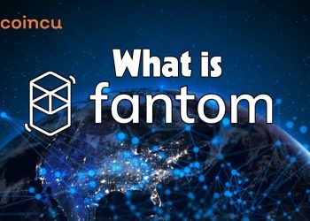 Fantom explained | What is Fantom? | Video Guide
