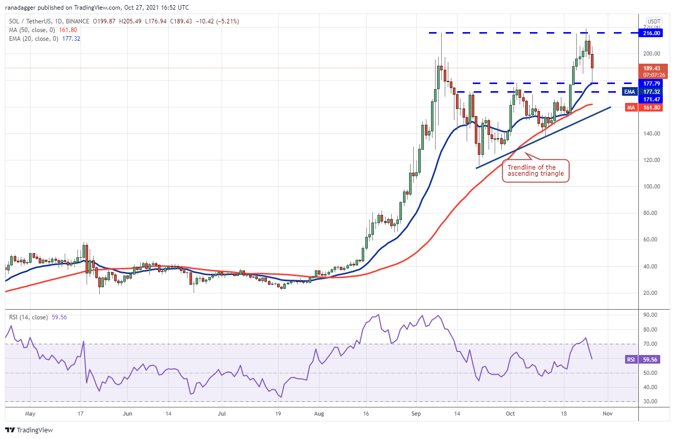 BTC, ETH, BNB, ADA, SOL, XRP, DOT, DOGE, SHIB, LUNA 33