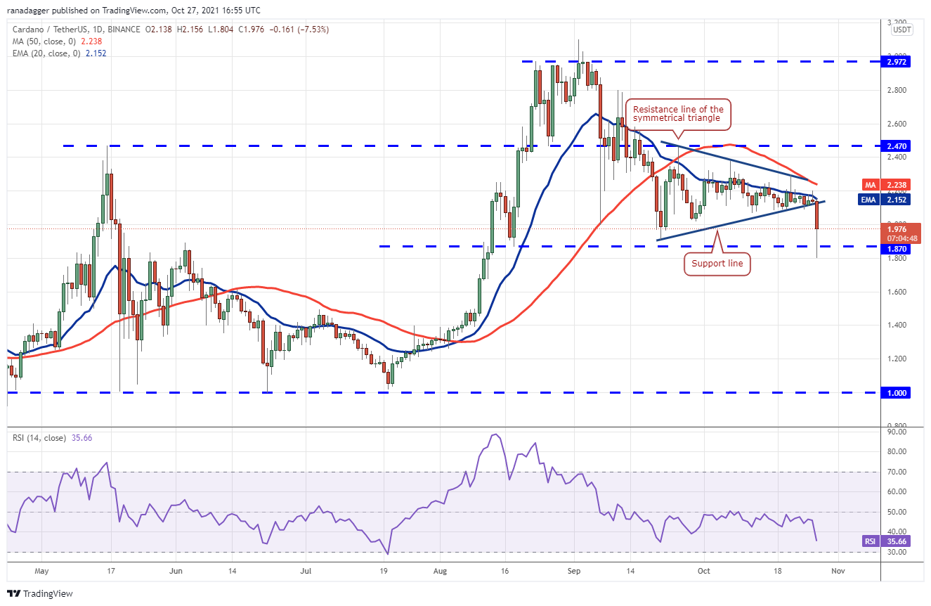 BTC, ETH, BNB, ADA, SOL, XRP, DOT, DOGE, SHIB, LUNA 31