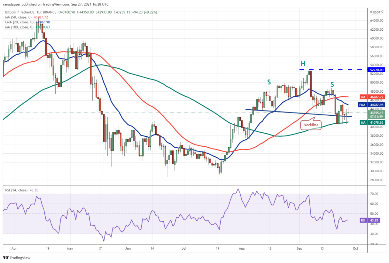 Bitcoin can be defeated with a wild frame 30000