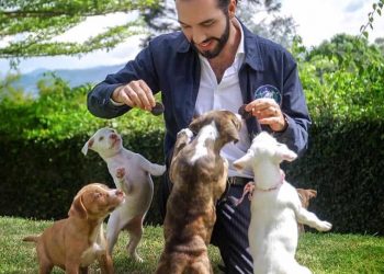 El Salvador will use the nation's Bitcoin profits to build a giant veterinary hospital