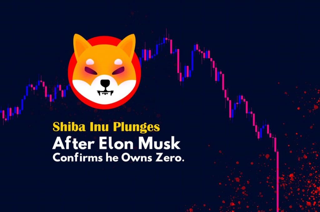 Elon Musk has announced not to invest only in the Shiba Inu "love" for DOGE - The reason why SHIB started "I unload"?