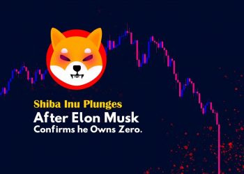 Elon Musk has announced not to invest only in the Shiba Inu "love" for DOGE - The reason why SHIB started "I unload"?