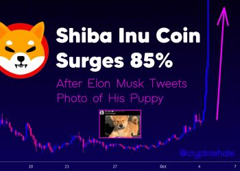 Elon Musk posted a photo of a dog sitting on Tesla, Shiba Inu (SHIB) increased by 85% - What secret does Musk have?