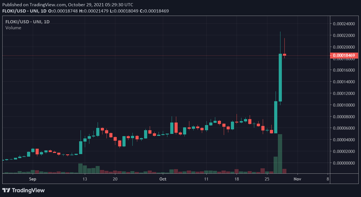 FLOKI / USD price chart.  Source: TradingView